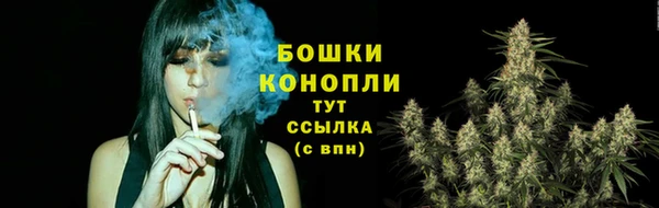 соль ск Белокуриха